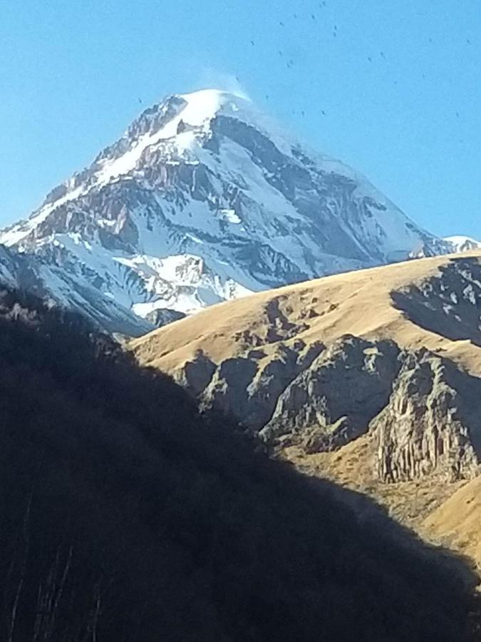 Emotion Kazbegi Apartman Kültér fotó