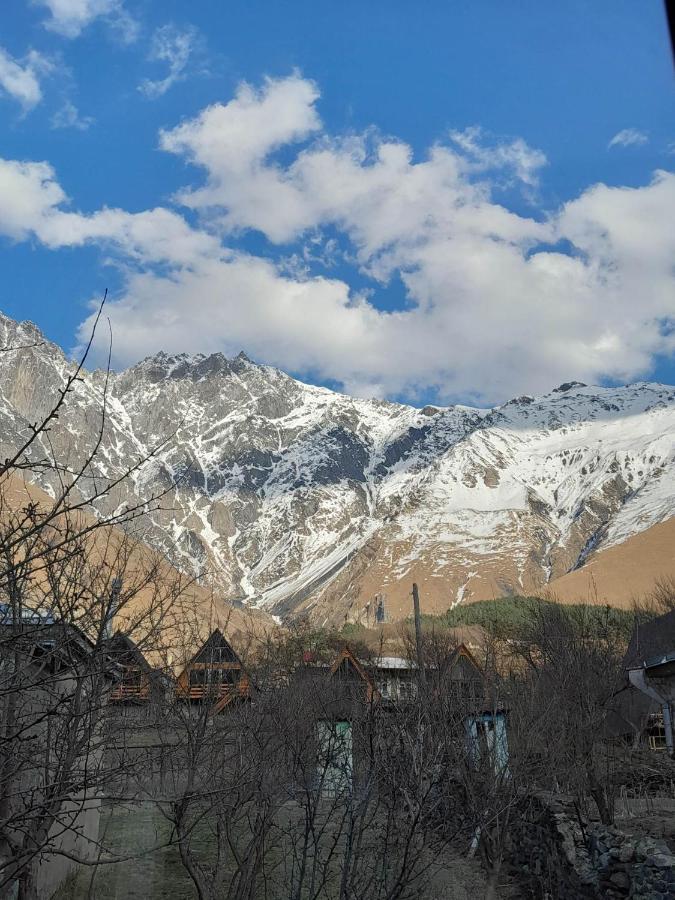 Emotion Kazbegi Apartman Kültér fotó