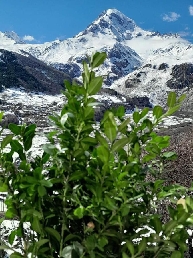 Emotion Kazbegi Apartman Kültér fotó