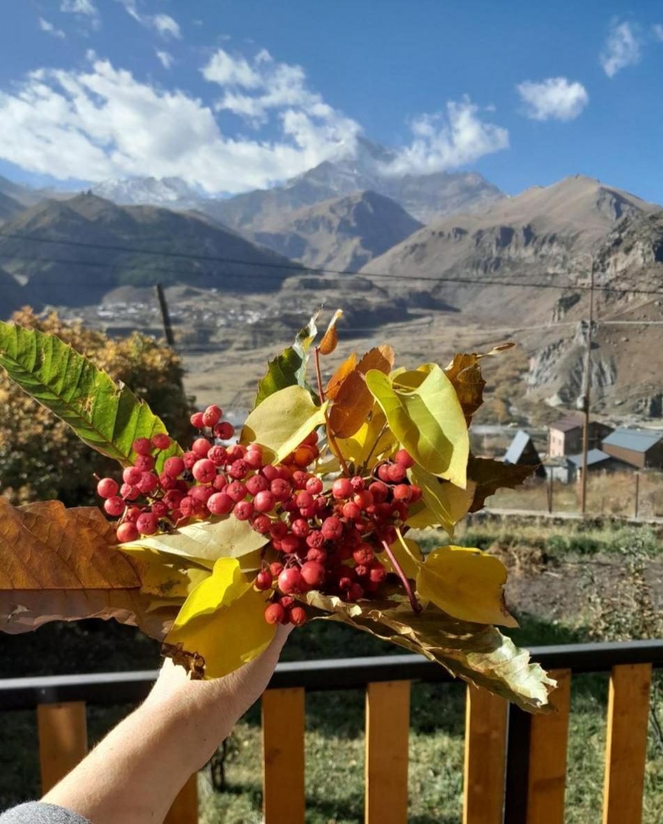Emotion Kazbegi Apartman Szoba fotó