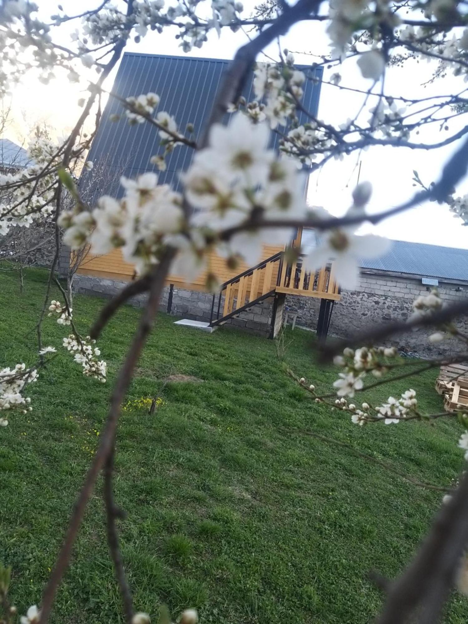 Emotion Kazbegi Apartman Szoba fotó