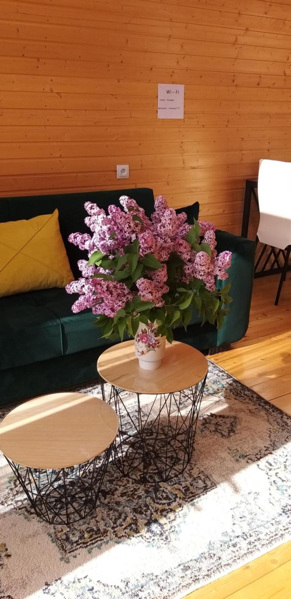 Emotion Kazbegi Apartman Kültér fotó