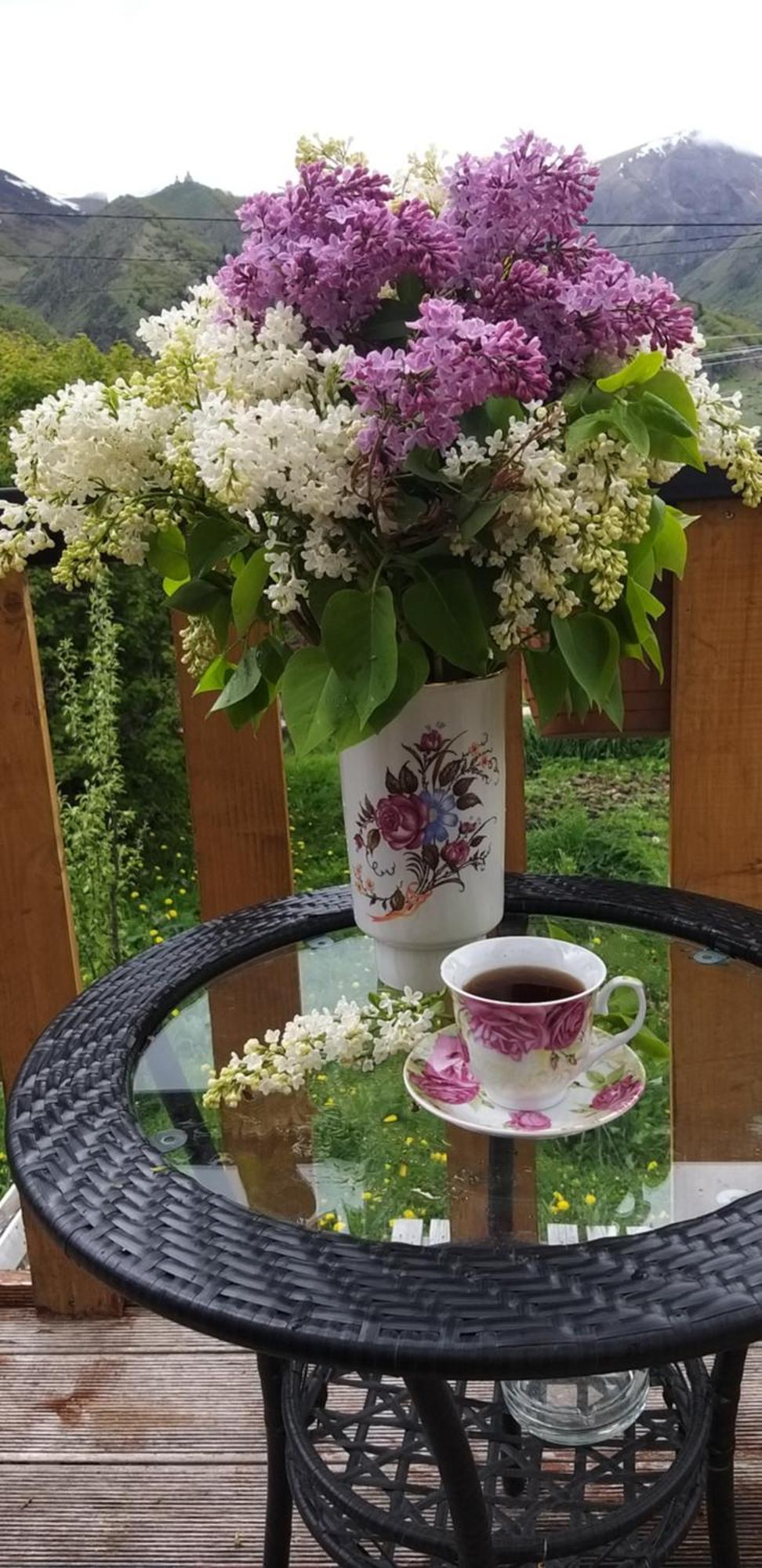 Emotion Kazbegi Apartman Kültér fotó