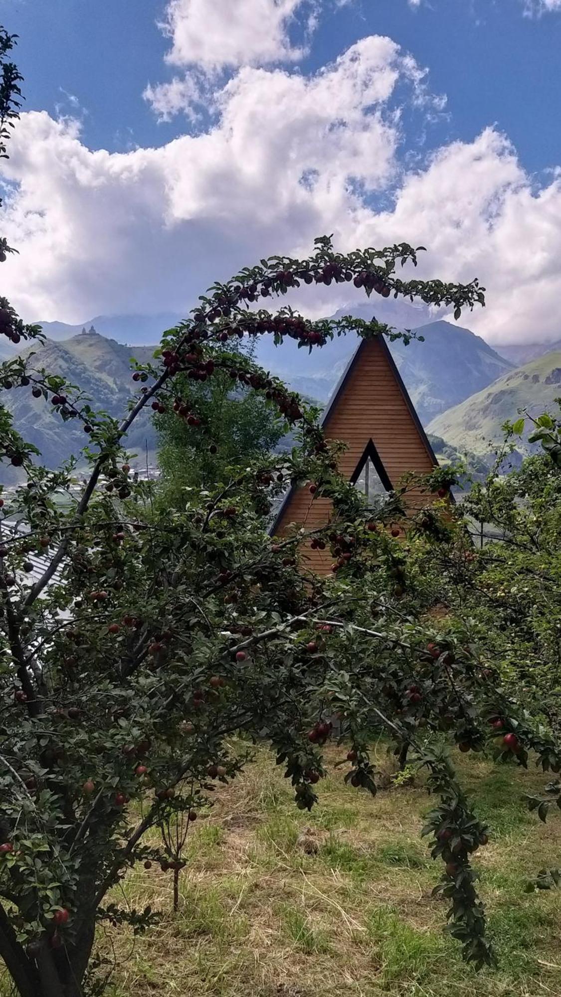Emotion Kazbegi Apartman Kültér fotó